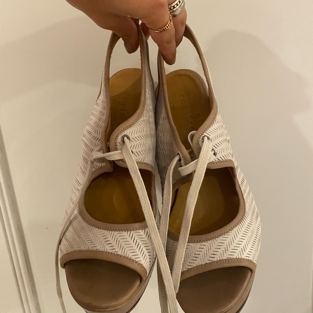 Colico Wedges